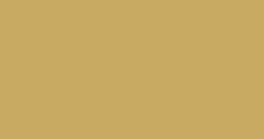 Fortune Matt Rect 60x120