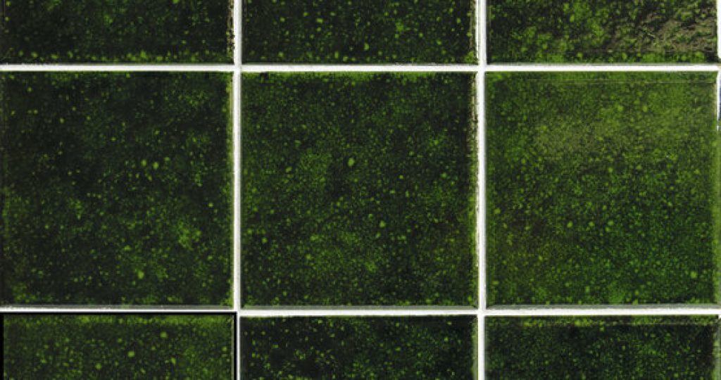 Genuine Emerald 10x10