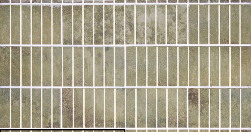 Touch Moss 10x30